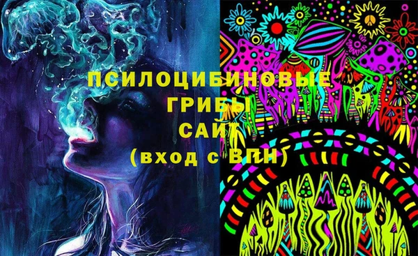 индика Баксан